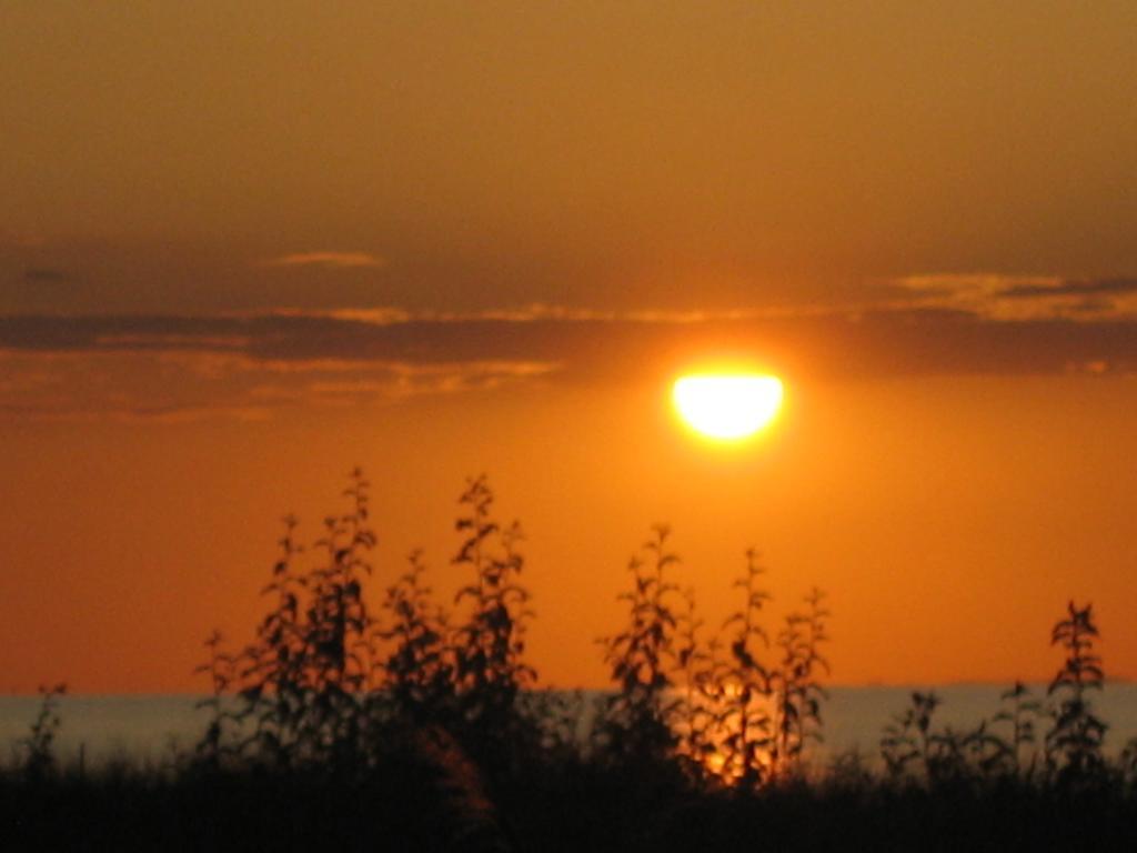 Appartmentanlage Zur Duene إنسيل بويل الغرفة الصورة